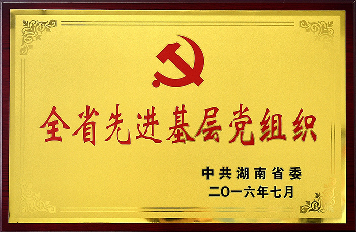 全省先进基层党组织