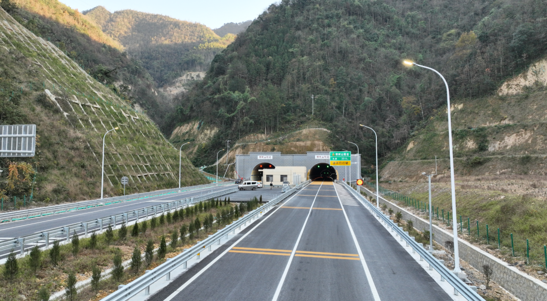 椆树山隧道.png
