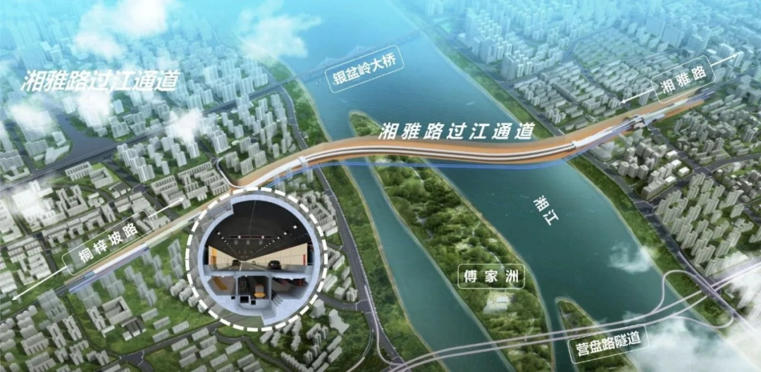 20260706650038.png 图片3.png